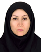 مهری محمدی دانقرالو